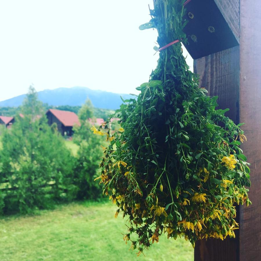 Bran White Clouds House And Chalet Экстерьер фото
