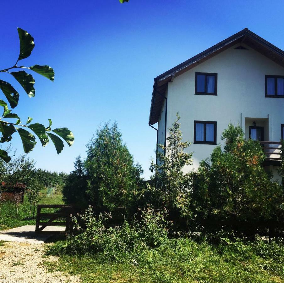 Bran White Clouds House And Chalet Экстерьер фото